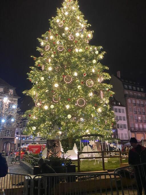 Centre Strasbourg